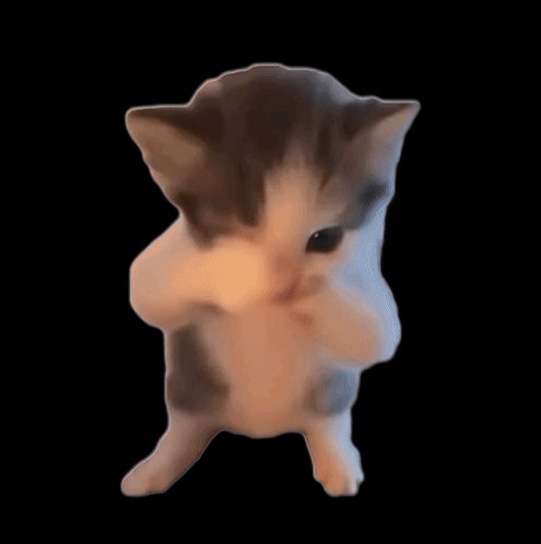 Animated cat